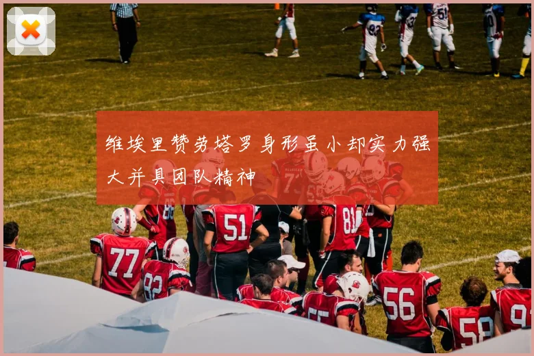 维埃里赞劳塔罗身形虽小却实力强大并具团队精神
